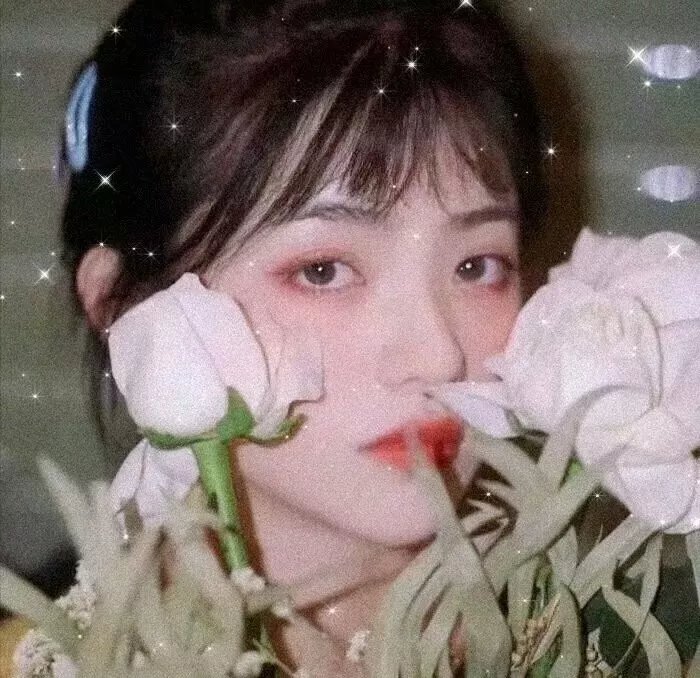 新人新月